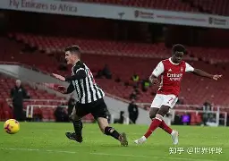 纽卡斯尔球队官网